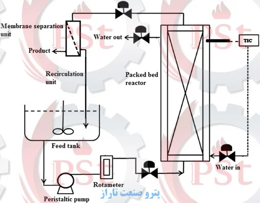 شماتیک یک فرمانتور Packed Bed