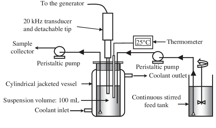 Ultrasonic reactor